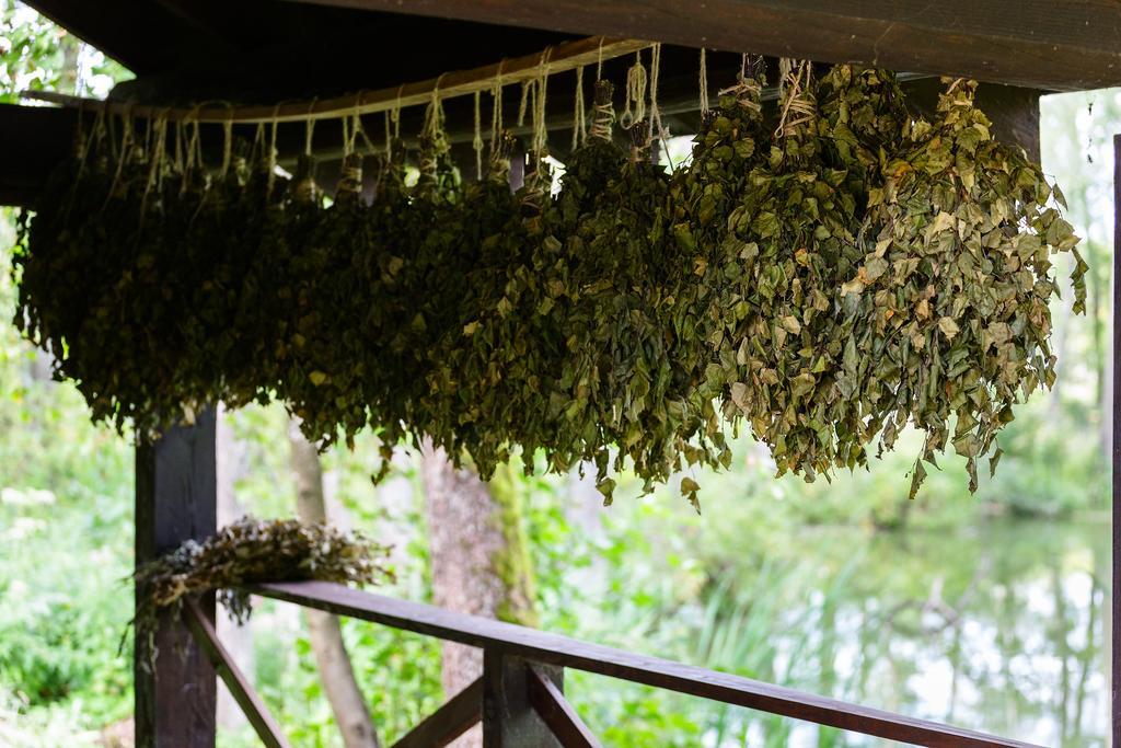 Maison d'hôtes Poilsio Baze à Latežeris Extérieur photo